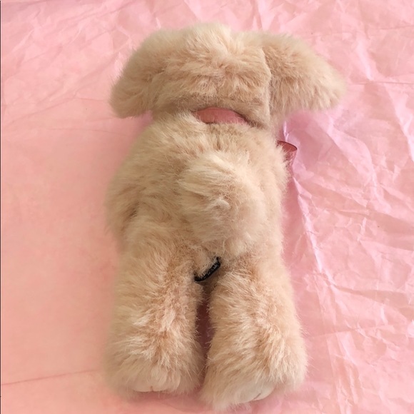 Boyd’s bear 🐻 - Picture 3 of 8